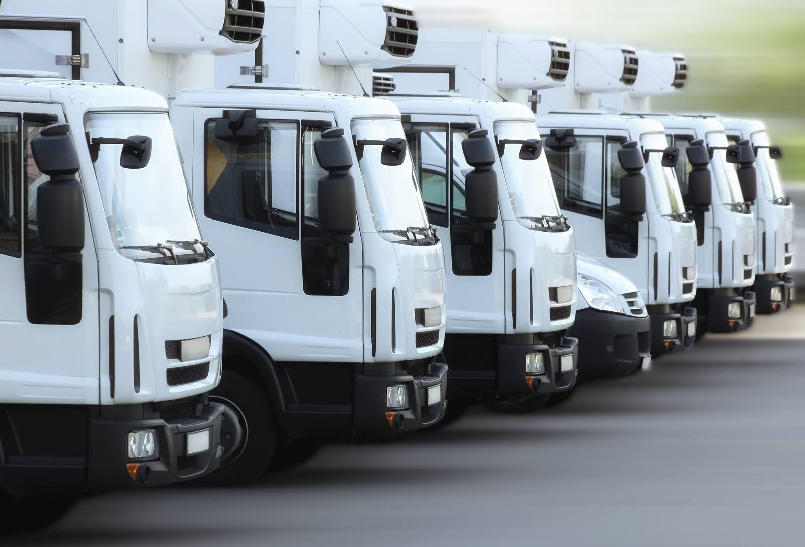 nexo andino logistico peru