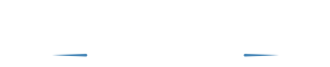 Logo nexo andino